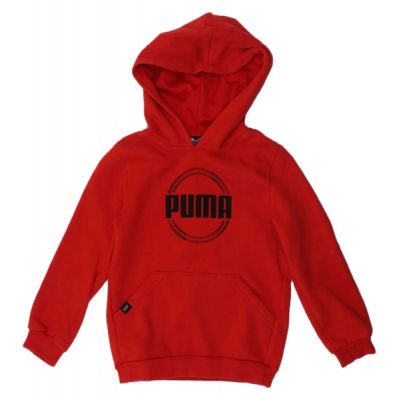 Bluza Puma DCT Hoodie Jr 849258 11