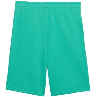 2. Spodenki dla dzieci Puma ESS Small No.1 Logo zielone 692974 40