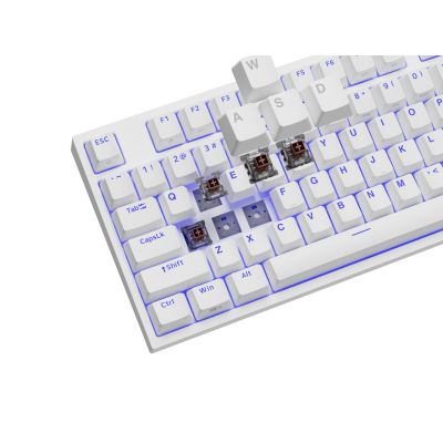 12. GENESIS Thor 404 TKL klawiatura Gaming USB QWERTY Amerykański międzynarodowy Biały