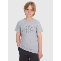 T-shirt regular z nadrukiem chłopięcy 4F  4FJRMM00TTSHM3255-25M