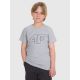 T-shirt regular z nadrukiem chłopięcy 4F  4FJRMM00TTSHM3255-25M