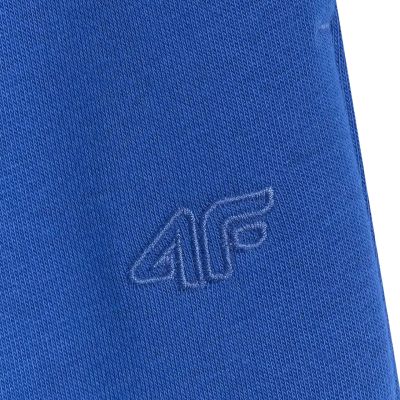 13. Spodnie 4F CAS M1245 Jr 4FJWAW25TTROM1245 36S