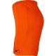 3. Spodenki Nike Dry Park III NB K M BV6855 819