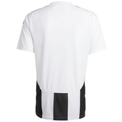 2. Koszulka adidas Striped 24 JSY M IW2143
