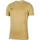 Koszulka dla dzieci Nike Dri-Fit Park VIII złota HV8182 729