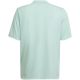 3. Koszulka adidas Entrada 22 Graphic Jersey Jr HF0127