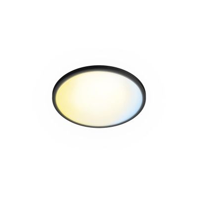 Philips Lampa sufitowa Valen 22 W