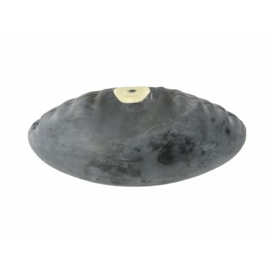 4. Skakanka bokserska z obciążnikami 2 x 160g SBR-W