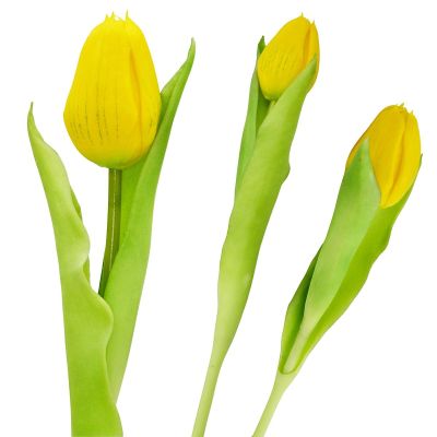 16. TULIPAN ŻÓŁTY 31CM JAK ŻYWY DEKORACJA WIOSENNA