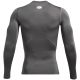 9. Koszulka Under Armour HG Armour Comp LS M 1361524 025