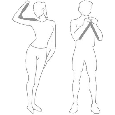 5. AGRAFKA MOTYLEK DEPANDOR XQMAX NIEBIESKI