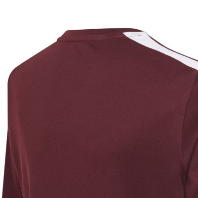 Koszulka adidas Squadra