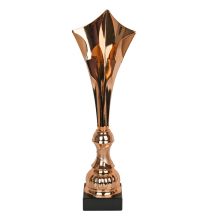 Puchar Tryumf W2206/B