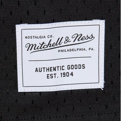 5. Koszulka Mitchell & Ness Branded Legendary Swingman Jersey M TMTK6552-MNNYYPPPBLCK