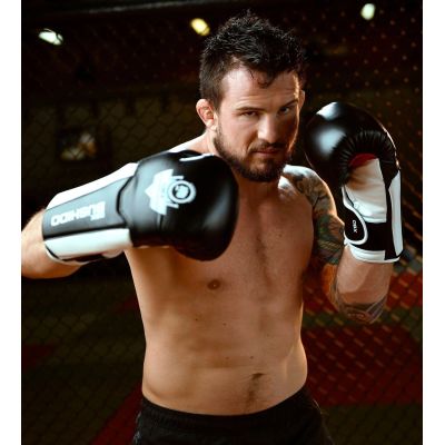 4. Rękawice bokserskie 10oz - Phantom White - Valor Series