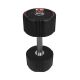 37. Hantel Body Sculpture TPU BW 133 16 KG