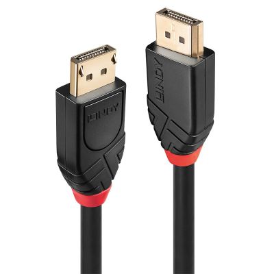 2. Lindy 41081 kabel DisplayPort 20 m Czarny