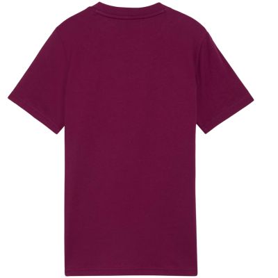 3. Koszulka dla dzieci Puma Cls Badge Cat Tee fioletowa 694700 41