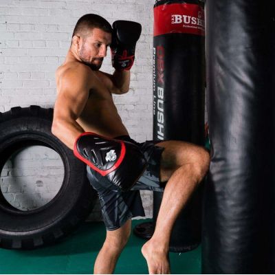 15. Rękawice bokserskie 10oz - Blaze Red - Legacy Series