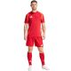 4. Spodenki adidas Tiro 24 Competition Training M IK2245