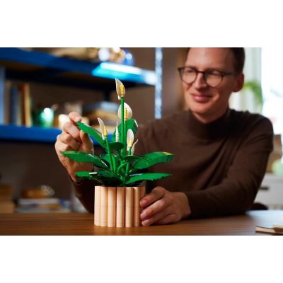 27. LEGO Botanical 11504 Skrzydłokwiat w doniczce