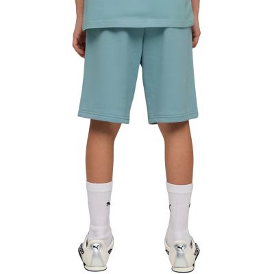 4. Spodenki dla dzieci Puma ESS Small No.1 Logo niebieskie 692974 47