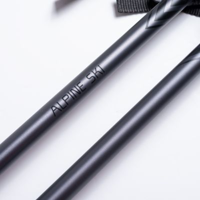 6. Kije ALPINE SKI II