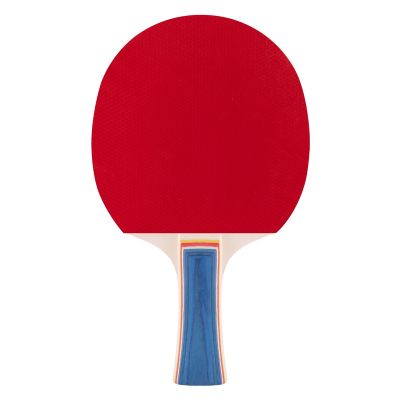 10. Rakietka do tenisa stołowego Spokey Training Pro FL 9506400000