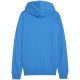 4. Bluza Puma Team Goal Casuals Hooded M 658595 02