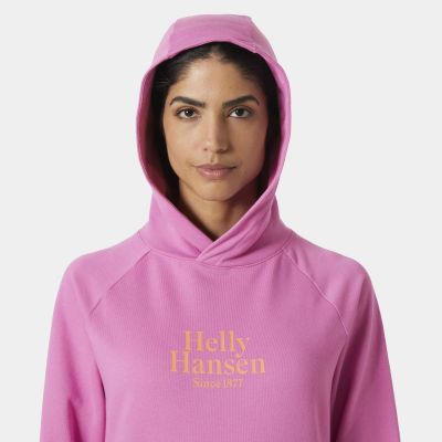 3. Bluza Helly Hansen Core Graphic Hoodie W 54239 089