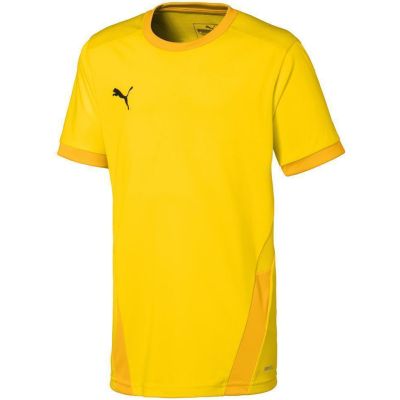 4. Koszulka Puma teamGOAL 23 Jersey Jr 704160 07