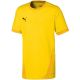 4. Koszulka Puma teamGOAL 23 Jersey Jr 704160 07