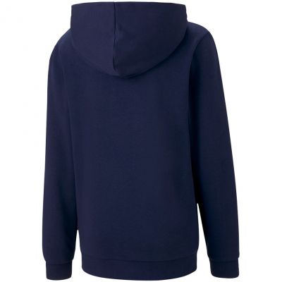 2. Bluza Puma teamGOAL 23 Casuals Hoody Jr 656711 06