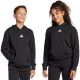 Bluza dla dzieci adidas Essentials Hoodie czarna JC9772