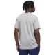 3. Koszulka męska adidas Sportsman Mountain Graphic jasnoszara KC9253
