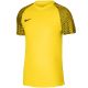Koszulka Nike DF Academy Jsy SS M DH8031 719