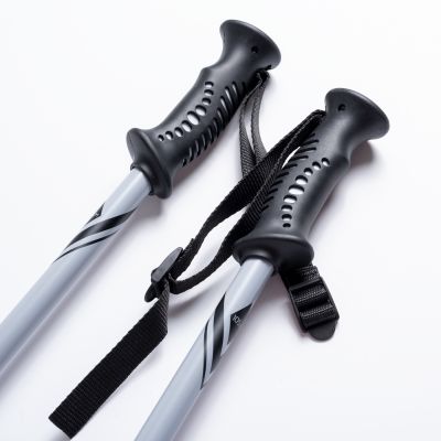 3. Kije ALPINE SKI II