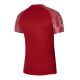 2. Koszulka Nike Academy Jr DH8369-657