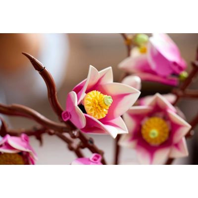 12. LEGO Botanicals 11510 - Gałązki magnolii