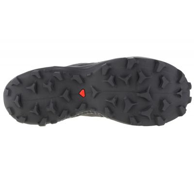 4. Buty do biegania Salomon Wildcross 2 GTX M 414554