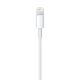 2. Lightning to USB Cable (0.5 m)