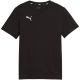 2. Koszulka Puma Team Goal Casuals Tee Jr 658616 03