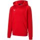 3. Bluza Puma teamGOAL 23 Casuals Hoody Jr 656711 01