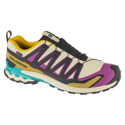 Salomon XA Pro 3D v9 GTX L47881700 Beżowe 49 1/3