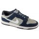 Buty Nike Dunk Low Retro M IB3079-400