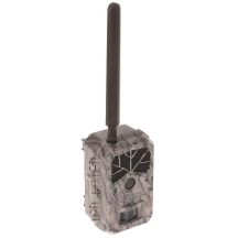 Fotopułapka HC-BG636-48M BOLY