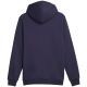 9. Bluza Puma ESS+ 2 Col Small Logo Hoodie FL M 674471 06