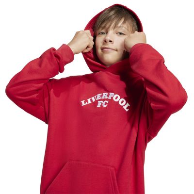 3. Bluza adidas Liverpool FC Hoody Junior JW7879