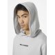8. Bluza Helly Hansen Core Graphic Sweat Hoodie M 53924 825