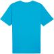 2. Koszulka Puma Team Rise Logo Jersey Cotton M 658705 02